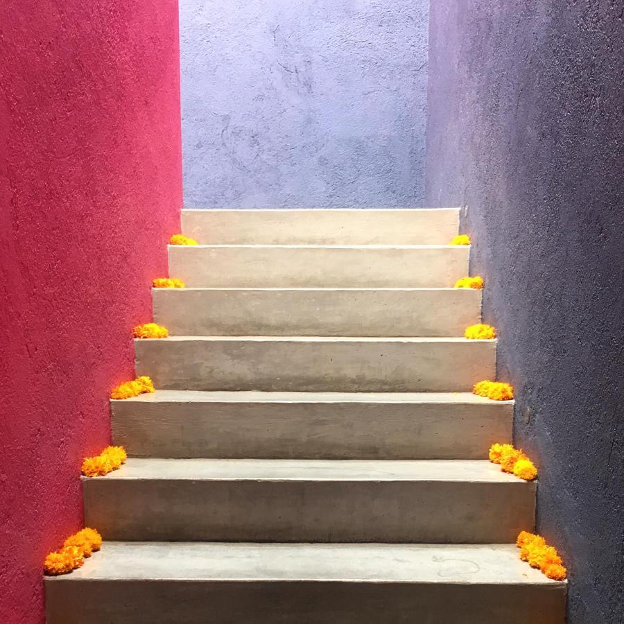 La Betulia Bed&Breakfast Oaxaca Esterno foto