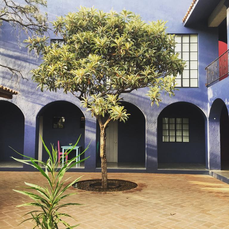 La Betulia Bed&Breakfast Oaxaca Esterno foto