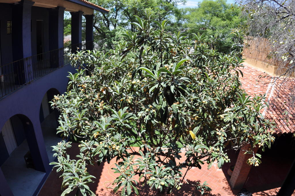 La Betulia Bed&Breakfast Oaxaca Esterno foto